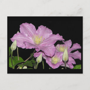 ~ Summer 13 ~ Postcard