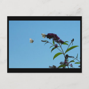 ~ Summer 20 ~ Postcard