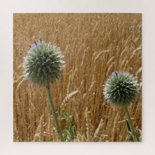 summer, agriculture, field, nature, landscape, jigsaw puzzle