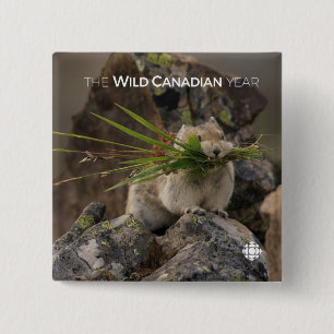 Summer - American Pica 15 Cm Square Badge