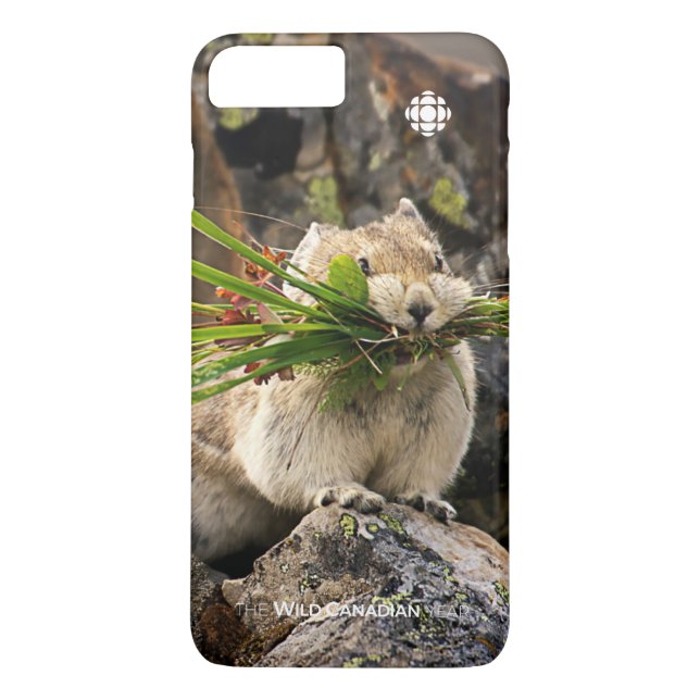 Summer - American Pica Case-Mate iPhone Case (Back)