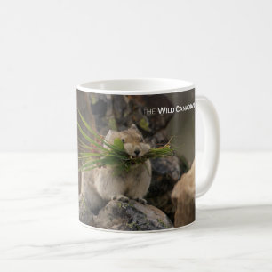 Summer - American Pica Coffee Mug