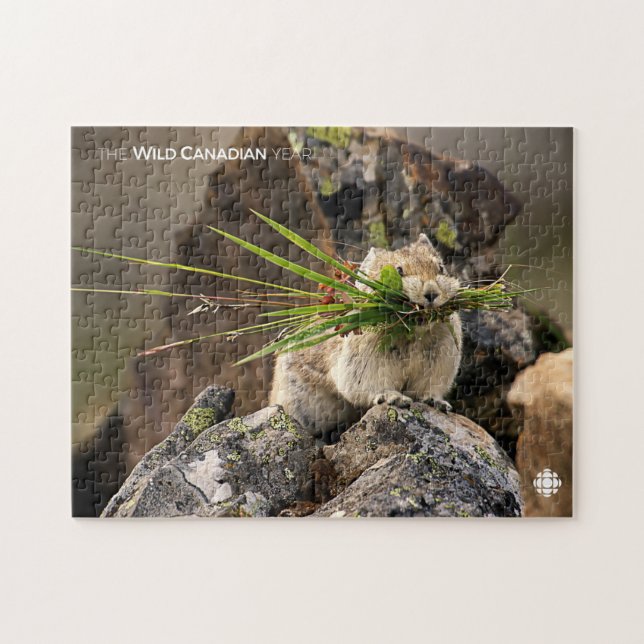 Summer - American Pica Jigsaw Puzzle (Horizontal)