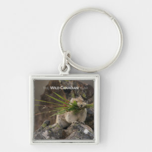 Summer - American Pica Key Ring