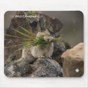 Summer - American Pica Mouse Mat