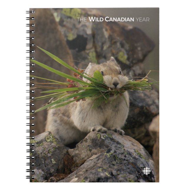 Summer - American Pica Notebook (Front)