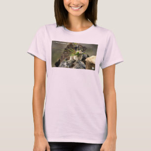 Summer - American Pica Women's T-Shirt