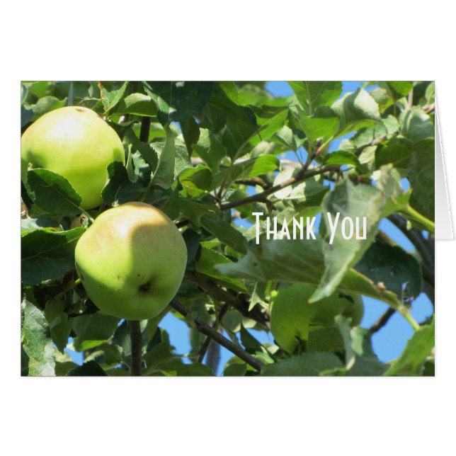 Summer Apples (Front Horizontal)