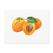 Summer apricots watercolor