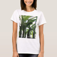 Summer Bamboo