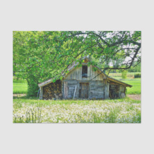Summer Barn with Stacks of Logs & Dandelion Field Tissue Paper