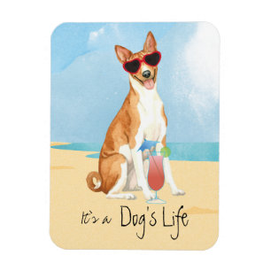 Summer Basenji Magnet