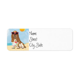 Summer Basset Hound