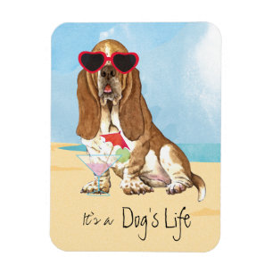 Summer Basset Hound Magnet