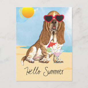 Summer Basset Hound Postcard
