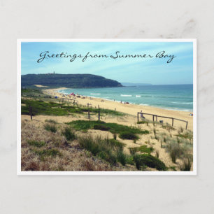 summer bay greetings postcard