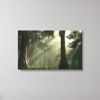 Summer Bayou Canvas Print