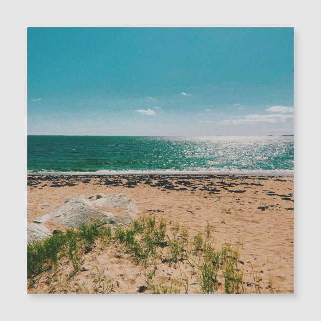 Summer beach day in the Swedish Archipelago  (Front)
