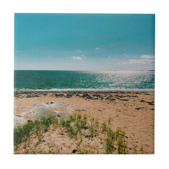 Summer beach day in the Swedish Archipelago  Tile (Front)