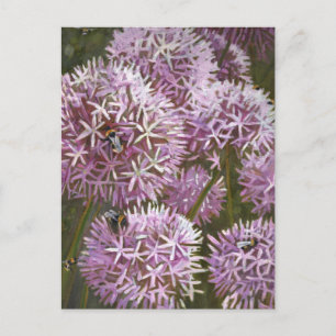 Summer bees 2014 postcard