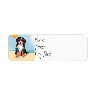 Summer Bernese Mountain Dog