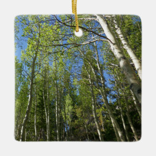 Summer Birch Trees at Rocky Mountain Ceramic Ornament