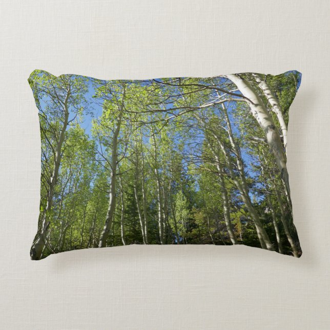 Summer Birch Trees at Rocky Mountain Decorative Cushion (Front)