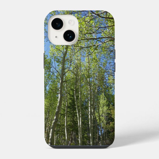 Summer Birch Trees at Rocky Mountain iPhone Case (Back)
