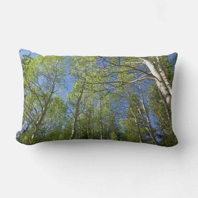 Summer Birch Trees at Rocky Mountain Lumbar Cushion (Front)