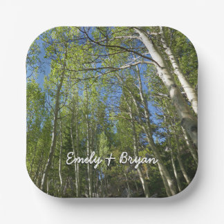 Summer Birch Trees at Rocky Mountain Paper Plate