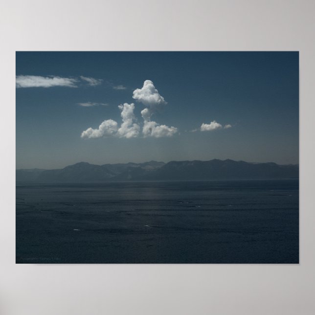 Summer Blues Poster (Front)