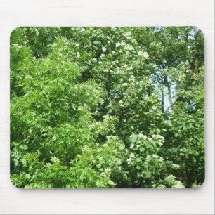 Summer Breeze Mouse Mat