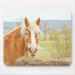 Summer Breeze Palomino Farm Horse Mouse Mat