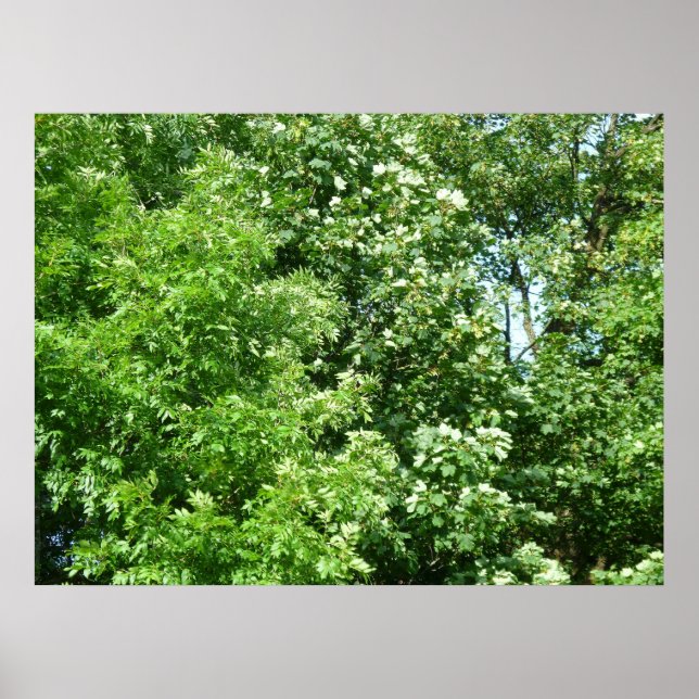 Summer Breeze Poster (Front)