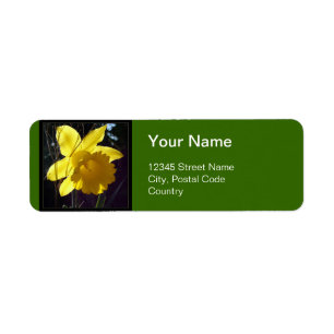 Summer bright yellow daffodil flower address label