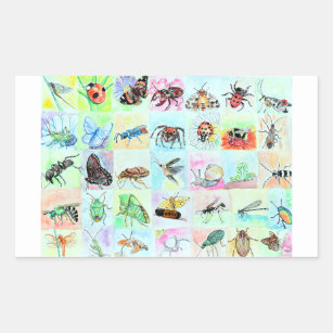 Summer Buggin Collection of Bugs in Watercolor Rectangular Sticker