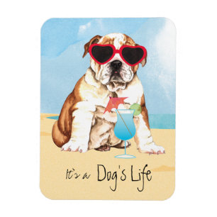 Summer Bulldog Magnet