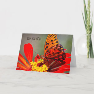 Summer BUTTERFLY FEEDING  Thank You Card