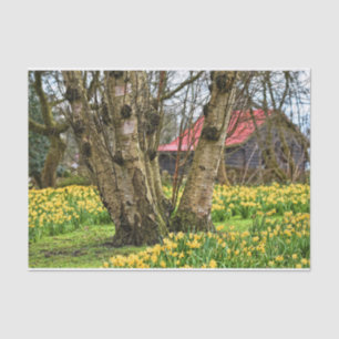 Summer Cabin Complete, Old Tree and Yellow Flowers Tissue Paper