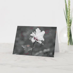 Summer Card