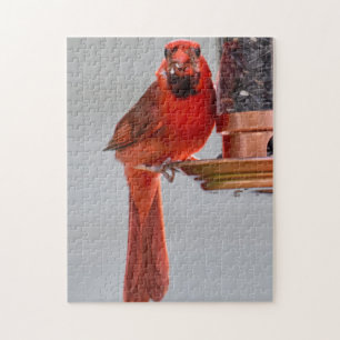 Summer Cardinal Puzzle