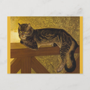 Summer Cat on Balustrade Vintage Art Postcard