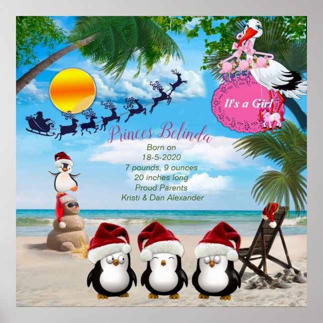Summer Christmas Baby Shower Poster (Front)