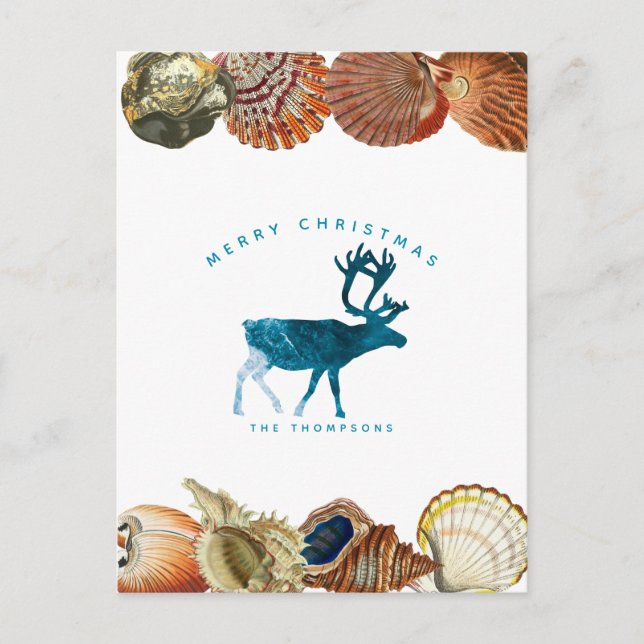 Summer Christmas Beach Seashell Reindeer Holiday Postcard (Front)