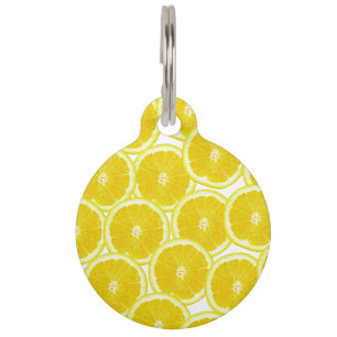 Summer Citrus Lemon Slices Pet Tag