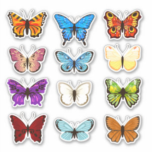 summer collection of butterflies sticker