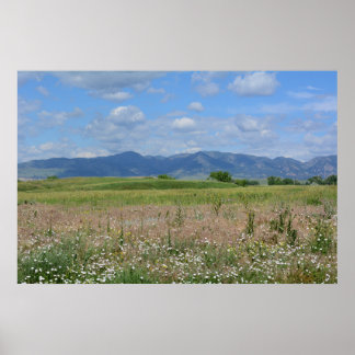 Summer Colorado landscape Poster
