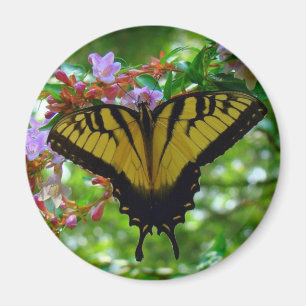 Summer Colours Magnet