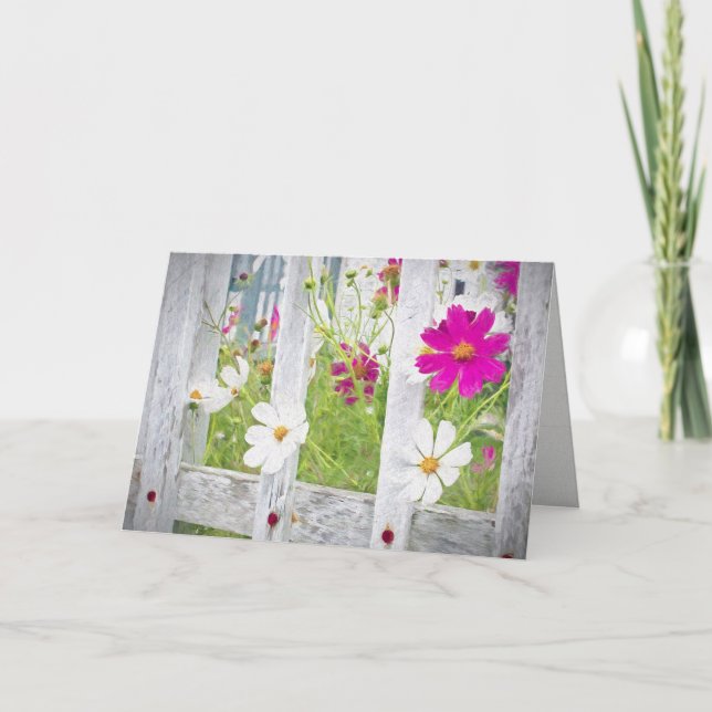 summer cosmos flowers in fence card (Front)