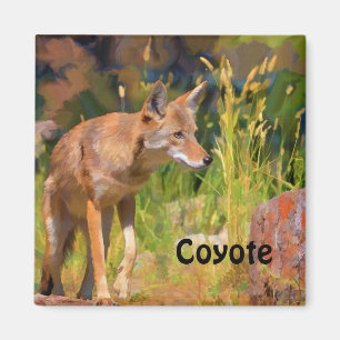 Summer Coyote Wildlife Painting Magnet